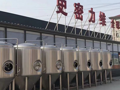 合水精酿啤酒设备厂—如何判断精酿啤酒设备的密封件需要更换？